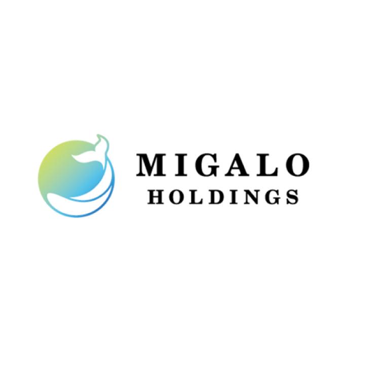ミガロホールディングス株式会社