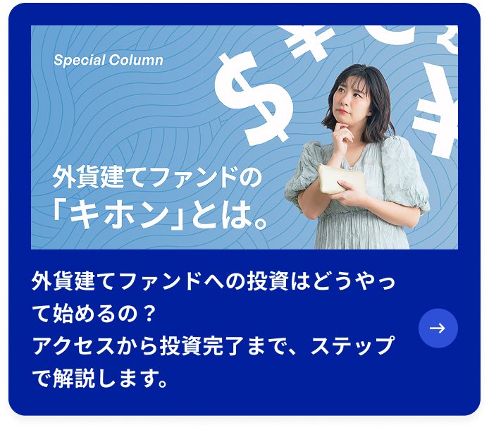 外貨建てファンドへの投資はどうやって始めるの？ アクセスから投資完了まで、ステップで解説します。